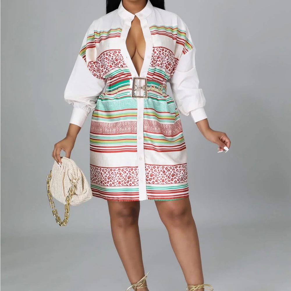 Striped Multicolor Belted Shirt Dress